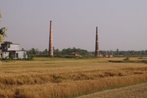 Brown and green grass field